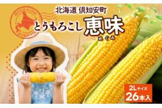 朝もぎ イエロー とうもろこし 恵味 2Lサイズ 26本 約10kg　57462116