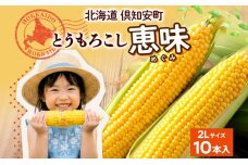 朝もぎ イエロー とうもろこし 恵味 2Lサイズ 10本　57462117