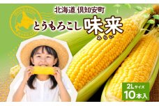 朝もぎ イエロー とうもろこし 味来 みらい 2Lサイズ 10本　57462118