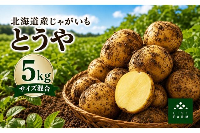 ふるさと納税 「北海道 倶知安 じゃがいも とうや 5kg リストファーム
