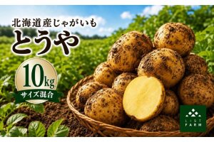 北海道 倶知安 じゃがいも とうや 10kg リストファーム サイズ 混合 馬鈴薯　57462122