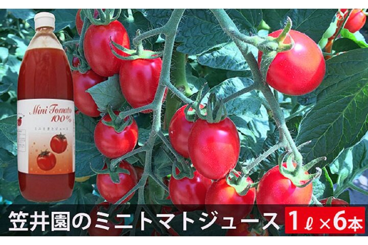 ふるさと納税 ミニトマト アイコ で作ったトマトジュース6本セット ご自宅用 北海道仁木町 ふるさと納税の ふるさとぷらす