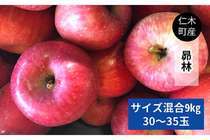 ふるさと納税 仁木町の採れたてりんご 昴林 こうりん 9kg 妹尾観光農園 北海道仁木町 ふるさと納税の ふるさとぷらす