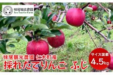 【先行受付/2025年11月出荷開始】仁木町の採れたてりんご「ふじ」4.5kg［妹尾観光農園］