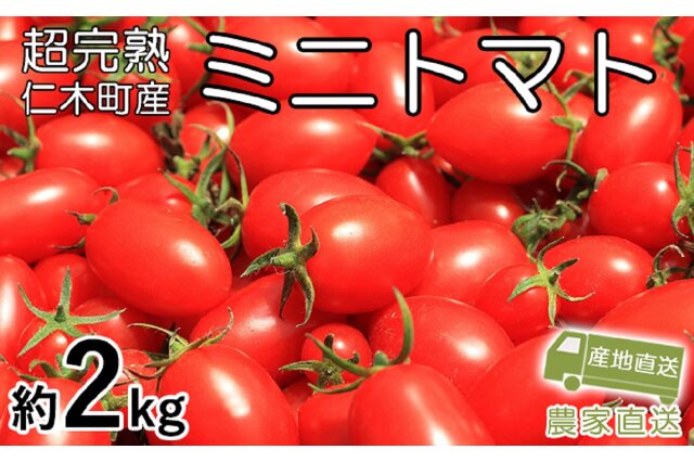 ふるさと納税 「超完熟ミニトマト【アイコ】お試し2kg（1kg×2箱