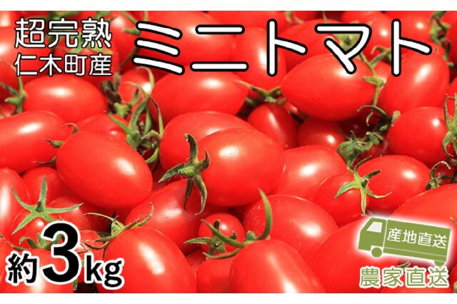 ふるさと納税 「[先行受付] 超完熟ミニトマト【アイコ】3kg