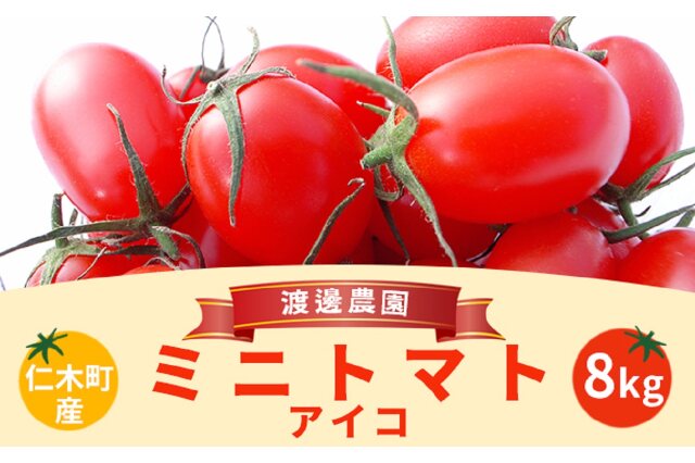 ふるさと納税 北海道仁木町産ミニトマト アイコ 1kg 8箱 北海道仁木町 ふるさと納税の ふるさとぷらす ふるさと納税 北海道仁木町産ミニトマト アイコ 1kg 8箱 北海道仁木町 ふるさと納税の ふるさとぷらす