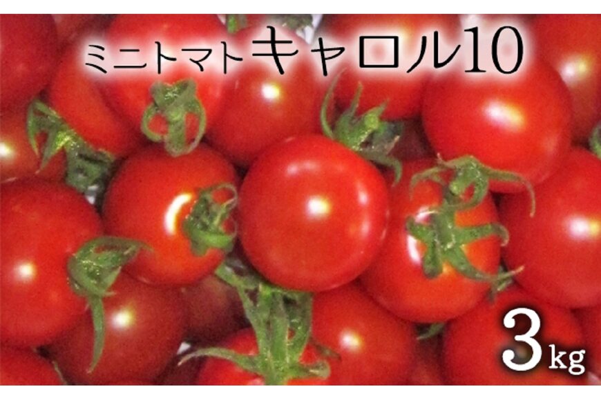 新商品 和歌山産ミニトマト アイコトマト 約2kg S Mサイズおまかせ 和歌山県 和歌山市 和歌山 ふるさと 納税 支援品 返礼品 お取り寄せグルメ お取り寄せ 取り寄せ グルメ トマト アイコ とまと ミニトマト 野菜 やさい Fucoa Cl