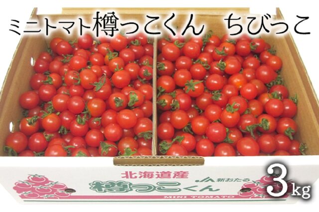 ふるさと納税 「北海道 仁木町産 樽っこくん ちびっこ 3kg ミニトマト トマト」 北海道仁木町 - ふるさと納税の「ふるさとぷらす」