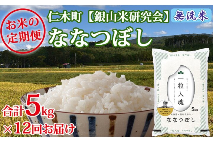 ふるさと納税 12ヶ月連続お届け 銀山米研究会の無洗米 ななつぼし 5kg 北海道仁木町 ふるさと納税の ふるさとぷらす