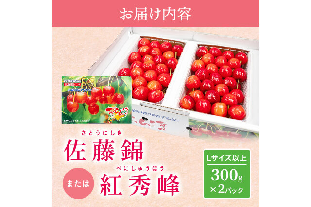 ふるさと納税 「≪くだものの笠井園≫さくらんぼ（Lサイズ以上）300g×2」 北海道仁木町 - ふるさと納税の「ふるさとぷらす」