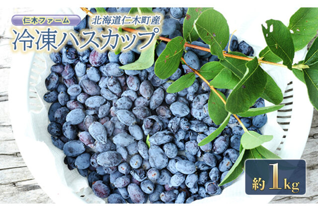 豊富な好評【新鮮•無農薬】ハスカップ　冷凍　8kg　北海道産　2023年産　送料込み 果物