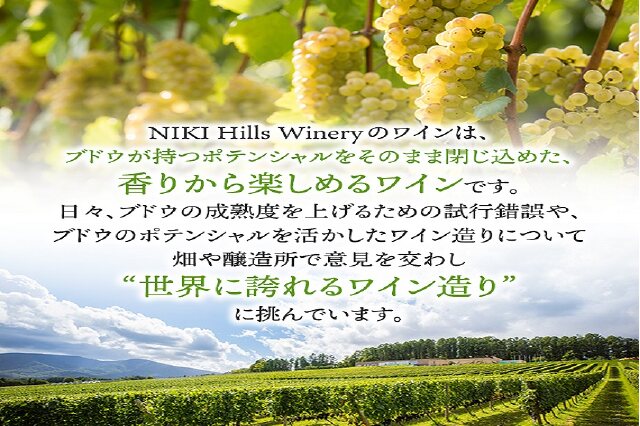 ふるさと納税 「NIKI Hills Winery 白ワイン【はつゆき LATE HARVEST