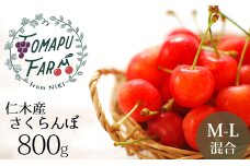 北海道 仁木町産 農業ママのサクランボ 800g（200g×4）チェリー さくらんぼ <トマップファ