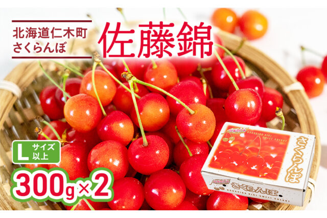 ふるさと納税 「さくらんぼ 佐藤錦 300g×2P Lサイズ 仁木 北海道 サクランボ 果物 フルーツ チェリー」 北海道仁木町 -  ふるさと納税の「ふるさとぷらす」