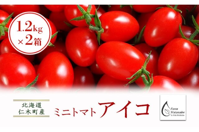 ふるさと納税 「北海道仁木町産ミニトマト【アイコ】1.2kg×2箱［栽培期間中 農薬不使用］ 56131040」 北海道仁木町 -  ふるさと納税の「ふるさとぷらす」