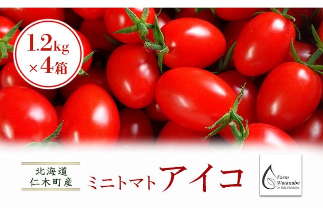 ふるさと納税 「北海道仁木町産ミニトマト【アイコ】1.2kg×4箱［栽培