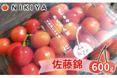にきや  さくらんぼ 佐藤錦 600g（300g×2）Lサイズ以上 仁木町産　56131123