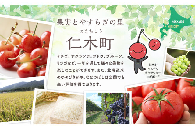 ふるさと納税 「北海道仁木産ぶどうジュース（品種：キャンベル