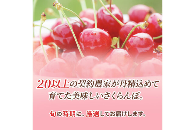 ふるさと納税 「北海道 仁木町産 サクランボ 紅秀峰 1.2kg L-Mサイズ 松山商店」 北海道仁木町 - ふるさと納税の「ふるさとぷらす」