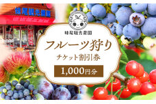 妹尾観光農園 フルーツ狩りチケット1000円 チケット クーポン 利用券　56131440