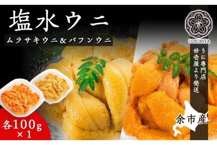 ふるさと納税 余市産 塩水ウニ ムラサキウニ バフンウニ 各100g 22年夏 うに専門店世壱屋より発送 北海道余市町 ふるさと納税の ふるさとぷらす