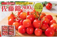 フルーツ王国余市産 「佐藤錦(L～2Lバラ詰め)」 200g×4パック【ニトリ観光果樹園】