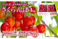 〔予約受付中〕毎年大好評！こだわりの東谷農園 余市産 さくらんぼ 1kg（2023年初夏発送）