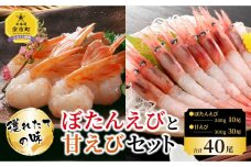 ぼたんえび10尾 甘えび30尾セット 北海道