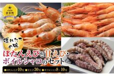 ぼたんえび10尾 甘えび30尾 ボイルシャコ8～10尾セット 北海道
