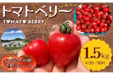 〔予約受付中〕しおかぜの畑 中野ファーム 余市産 トマトベリー 1.5kg(2023年初夏発送) 