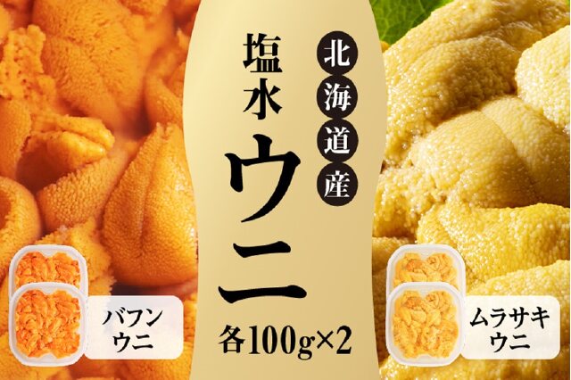 ふるさと納税 「【先行受付】北海道産 世壱屋塩水ウニ（ムラサキウニ