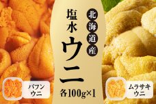 【2025年4月末以降順次発送】北海道産 塩水ウニ（ムラサキ＆バフン）各100g_Y038-0142