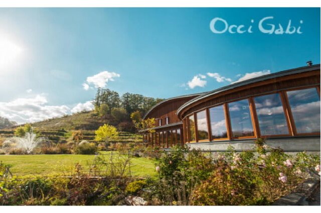 ふるさと納税 余市町 オチガビ・ヴァン・ブラン_Y012-0092 ふるさと納税 余市町 先行受付OcciGabi Wineryオチガビ