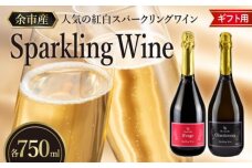 【化粧箱入り】人気の紅白 スパークリング ワイン セット 各750ml_Y012-0106