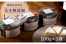 酵素が活きた完全無添加レーズン　100g×3種セット_Y082-0002