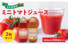 自社農園産サンチェリーミニトマト・オレンジキャロルミニトマト_Y018-0029