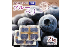 冷凍ブルーベリー 250g×4パック×2箱 北海道産_Y010-0025