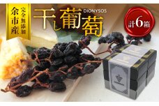 【ギフトボックス】余市産完全無添加干し葡萄DIONYSOS 6箱セット_Y050-0029