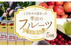 【5回定期便】東谷農園 こだわりの詰まった季節の フルーツ 定期便_Y037-0004