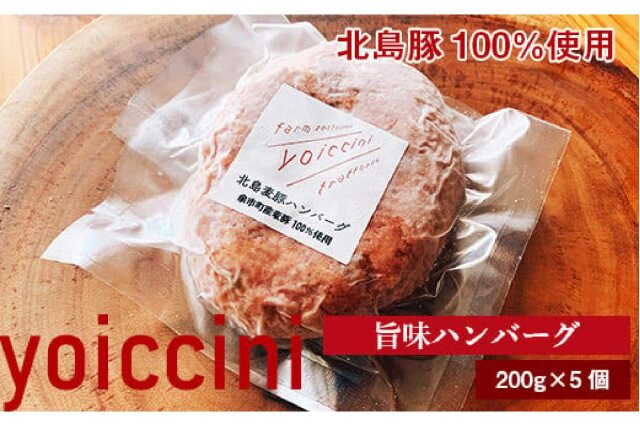 ふるさと納税 「北島豚100％使用！ヨイッチーニ旨味ハンバーグ200g×5個