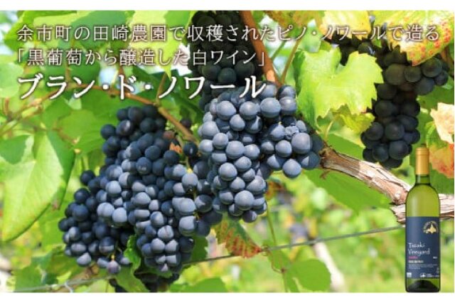 ふるさと納税 「【葡萄作りの匠 田崎正伸】北海道ワイン 2種 飲み比べ