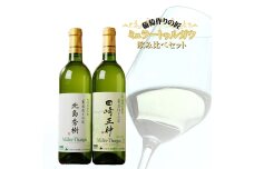 余市 葡萄作りの匠「北島秀樹」&「田崎正伸」ミュラートゥルガウ飲み比べセット_Y034-0091