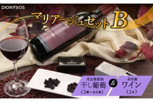 【ギフトボックス】余市産完全無添加干し葡萄と余市産セレクトワインセット～B～_Y050-0026