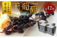 【ギフトボックス】余市産完全無添加干し葡萄DIONYSOS 12箱セット_Y050-0030