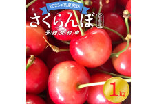 【2025年初夏発送】さくらんぼ！毎年大好評の東谷農園 余市産 さくらんぼ1kg_Y037-0328