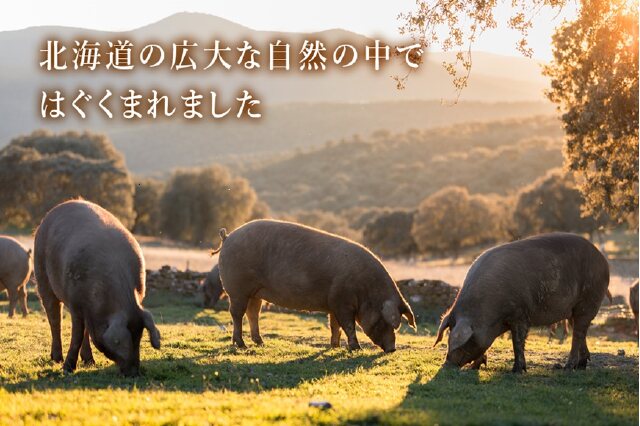 ふるさと納税 「ポークジャーキー1パック《ロイヤルストレート