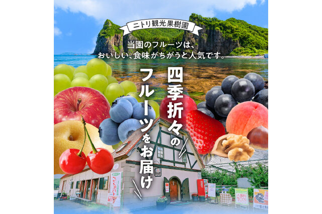 ふるさと納税 「ニトリ果樹園 自家製 アップルパイ 10個_Y074