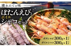 【獲れたての味！】ボタンエビ３００ｇ×１・ボイルシャコ３００ｇ×１_Y022-0021