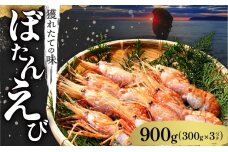 【獲れたての味！】ボタンエビ３００ｇ×３パック_Y022-0023